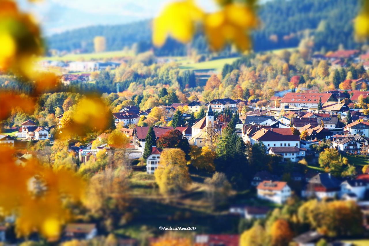 Haus Vierjahreszeiten Bodenmais Buitenkant foto
